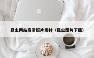 盐城昆虫网站高清照片素材（昆虫图片下载）